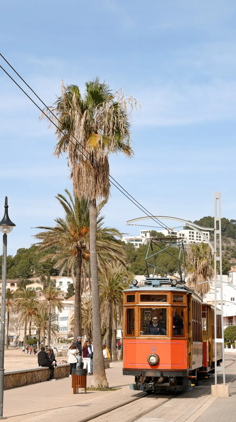 Historische orange Straßenbahn (Tranvía de Sóller) an der Palmenpromenade von Port de Sóller