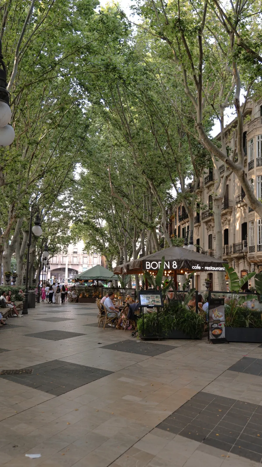 Passeig del Born in Palma mit alten Platanen, Cafés und Restaurants