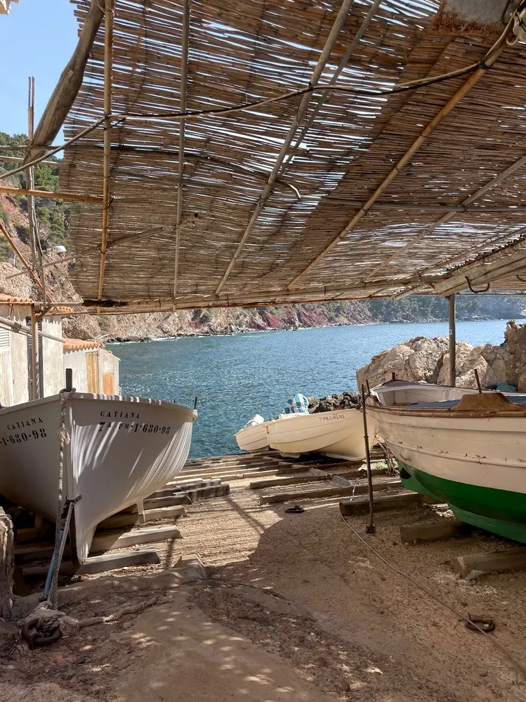 Traditionelle Fischerhäuser mit Llaut-Booten unter Schilfdach an der Tramuntana-Küste